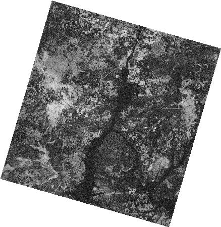 Frame 2439 Track 00319