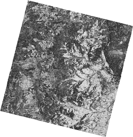 Frame 2457 Track 00348