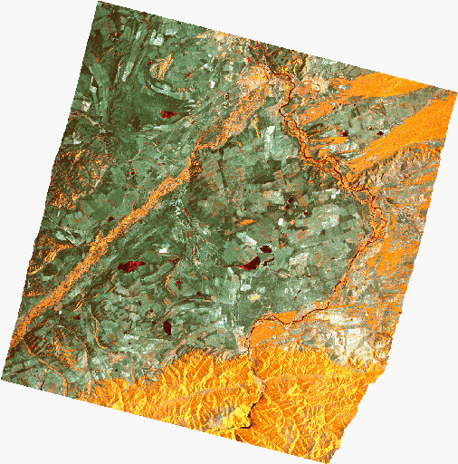 Frame 2529 Track 00348