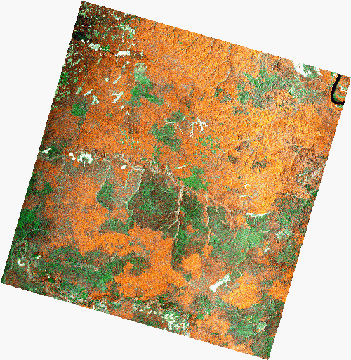 Frame 2421 Track 00434