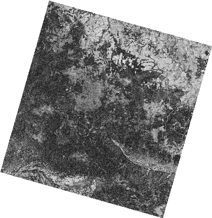 Frame 2439 Track 00491