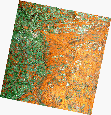 Frame 2475 Track 00491