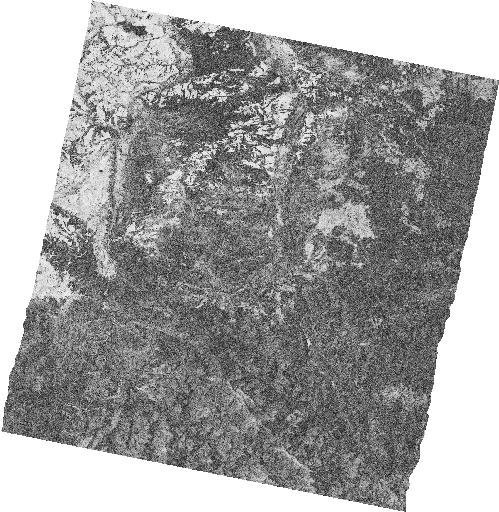 Frame 2493 Track 00491