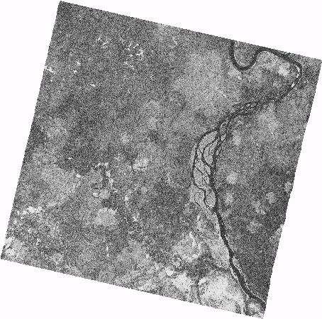 Frame 2367 Track 00019