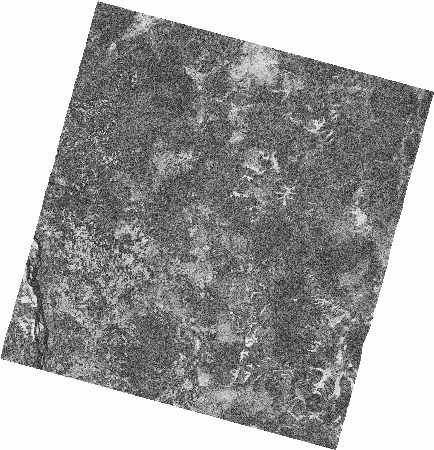 Frame 2421 Track 00047