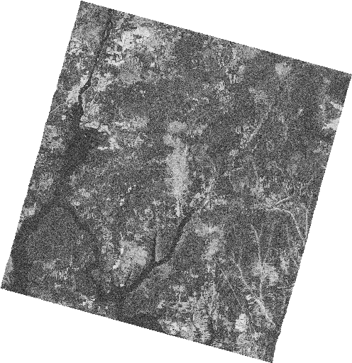 Frame 2439 Track 00047